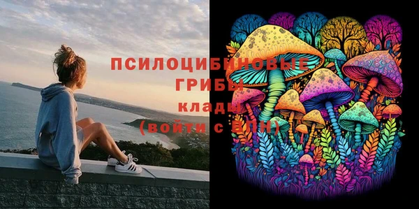 jwh Нязепетровск