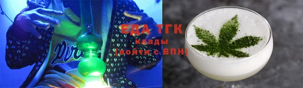 индика Нягань