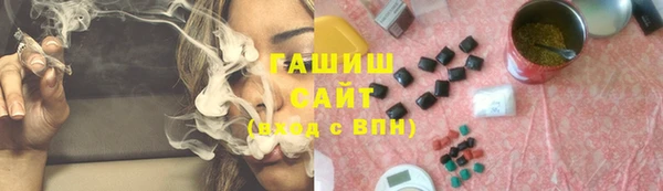 индика Нягань
