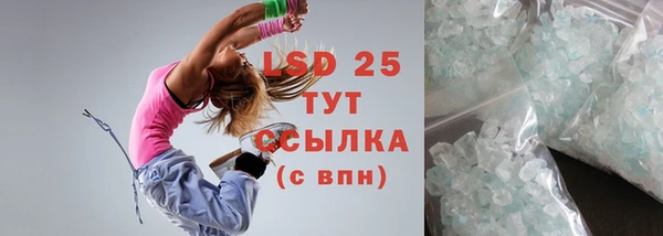 индика Нягань