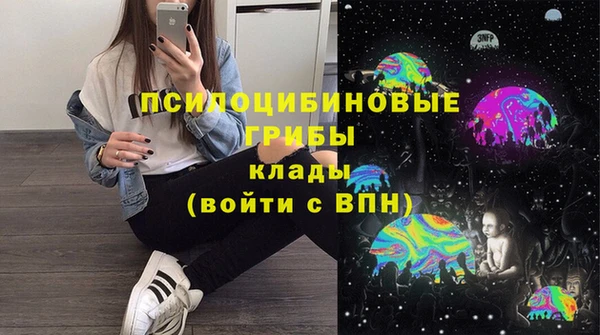 индика Нягань