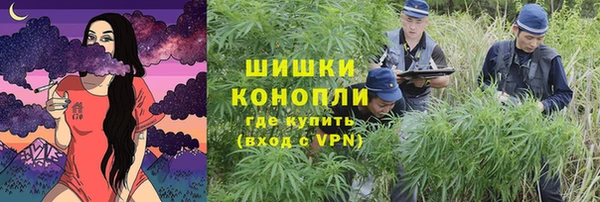 a pvp Осинники