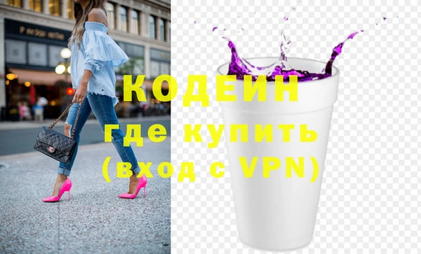 индика Нягань