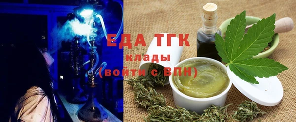индика Нягань