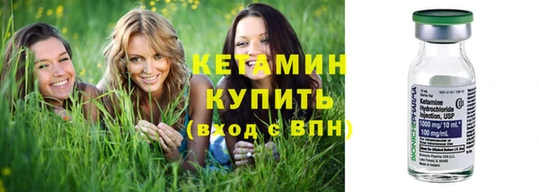 индика Нягань
