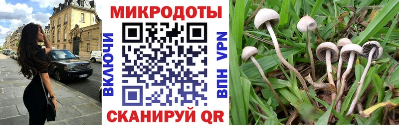 Галлюциногенные грибы мухоморы  магазин продажи наркотиков  Советская Гавань 
